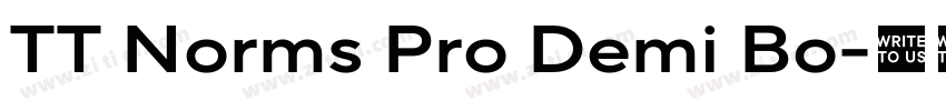 TT Norms Pro Demi Bo字体转换